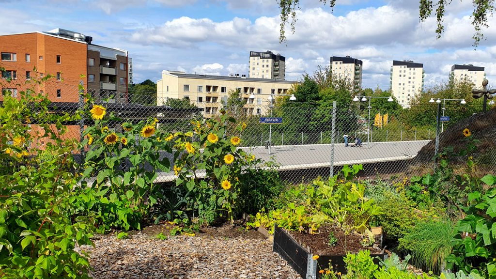 Stövardalens stadsodling